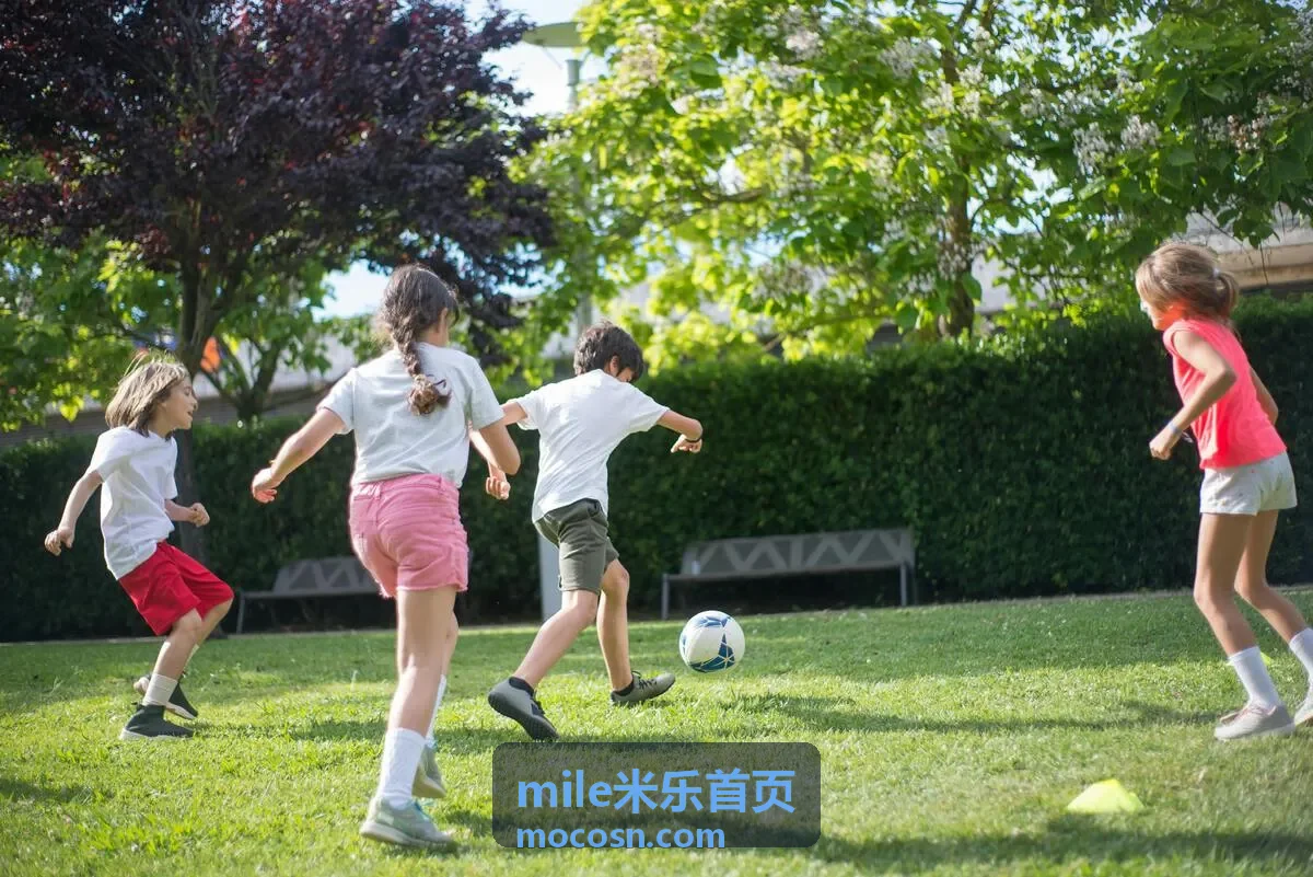 mile米乐首页纪实纪录《手艺人图谱》封面